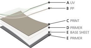 ������ �̹���