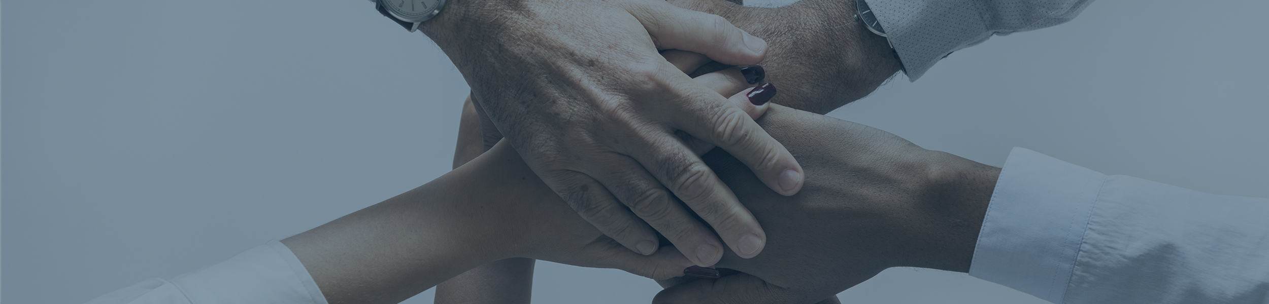 ������־� �̹���