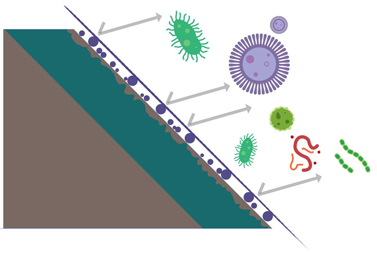 �ױ�/������ ���